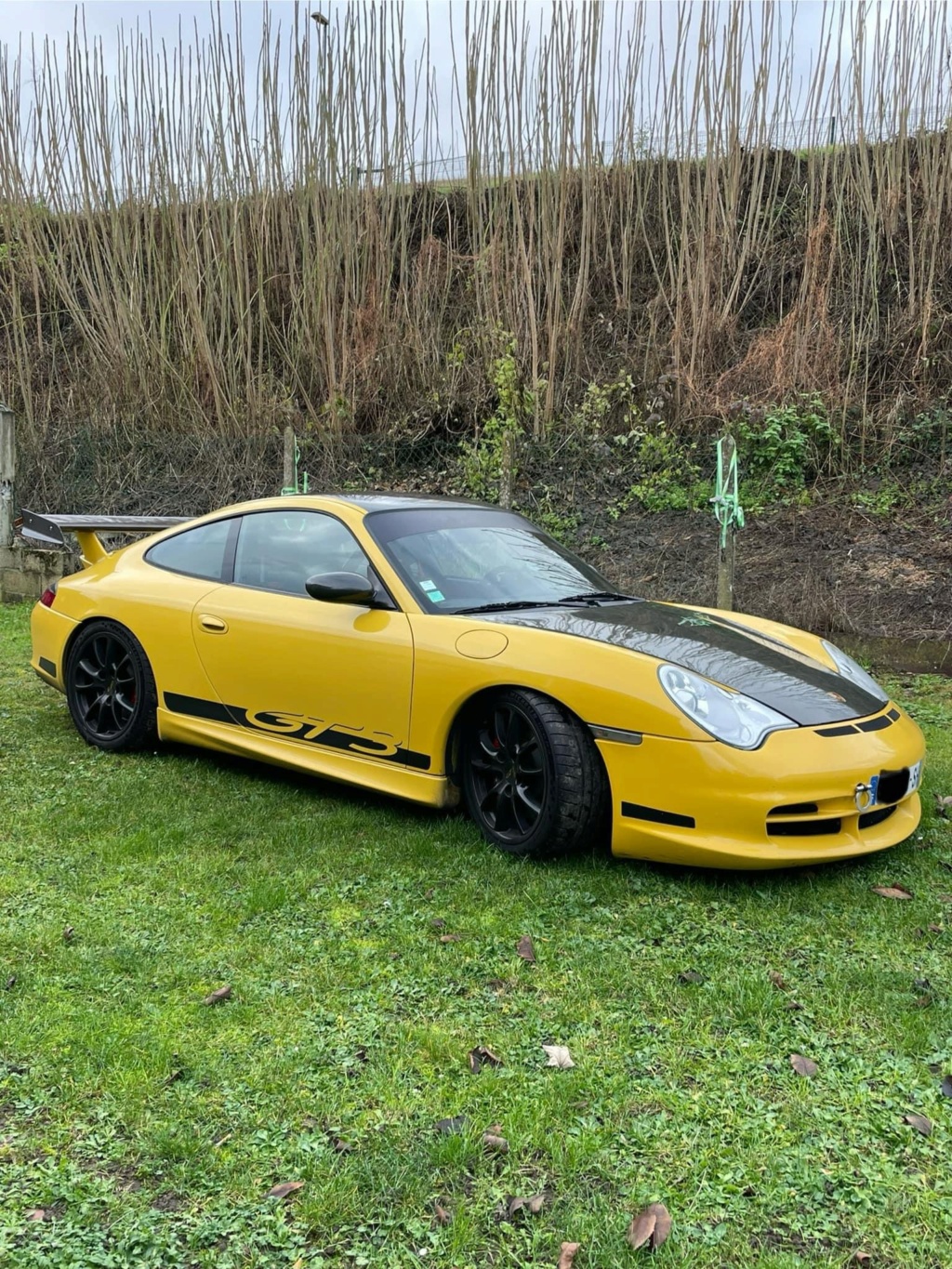 vends 996 GT3 CS  Photo_11