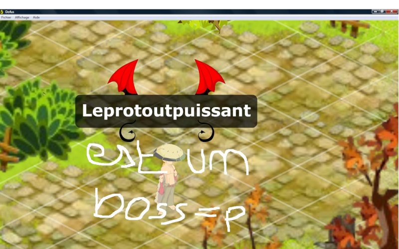 La vraie présentation :D Leprot11