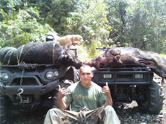 Big Island Hogs - (Video Added) Boar410