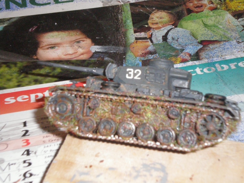 panzer III - Page 3 P5100211