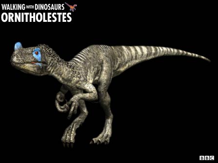 Ornitholestes Ornith14