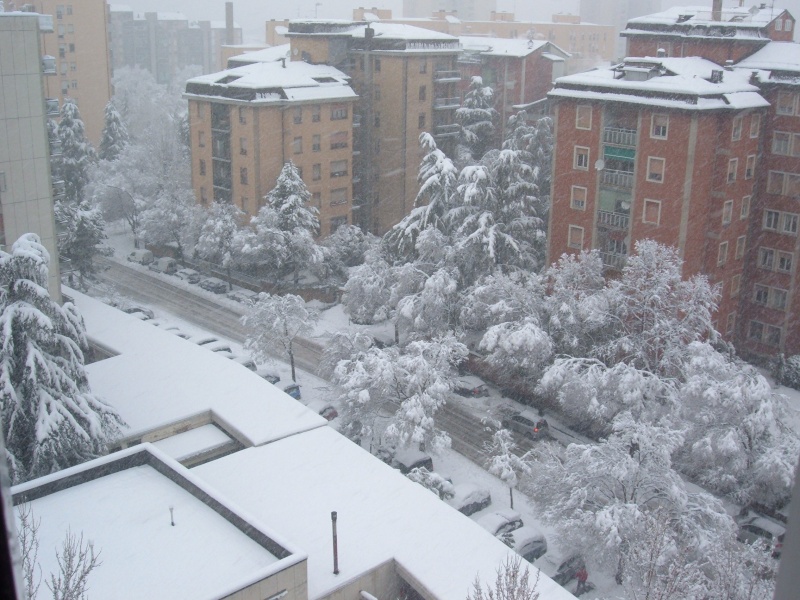 Stamattina noi Bolognesi ci siamo svegliati cosi..... Dscf4014