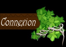 Connexion