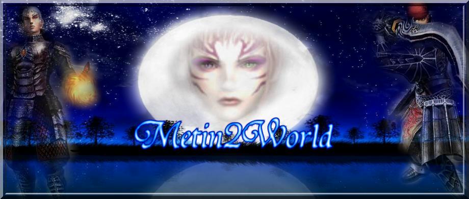 Metin2World