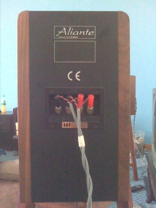 Alianto spazio speaker (used)(sold) Image015