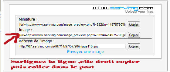 METTRE UNE PHOTO SUR LE FORUM Image311