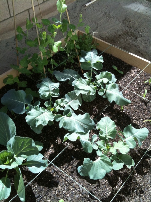 So far so good. Photo115