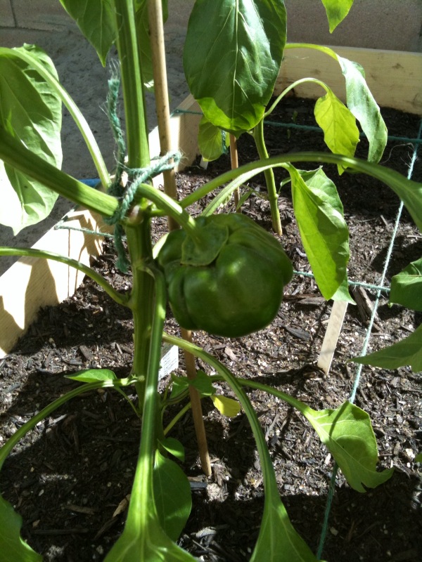 So far so good. Photo124