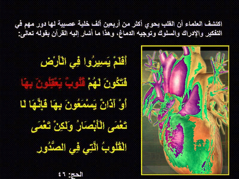 الإعجاز العلمي في القرآن 10_bmp10