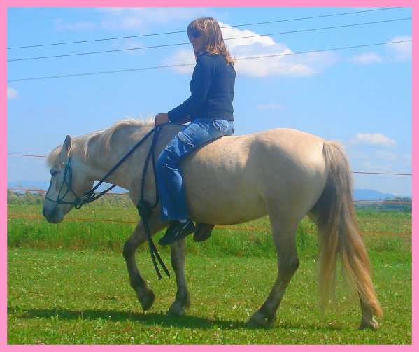 Des photos de moi et mes chevaux 24418410
