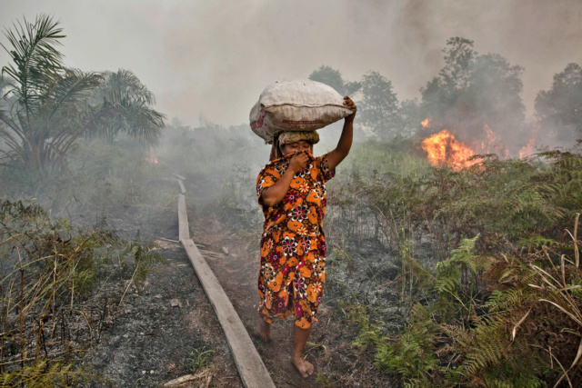 "il est encore temps" pour le climat et la biodiversité Huile10