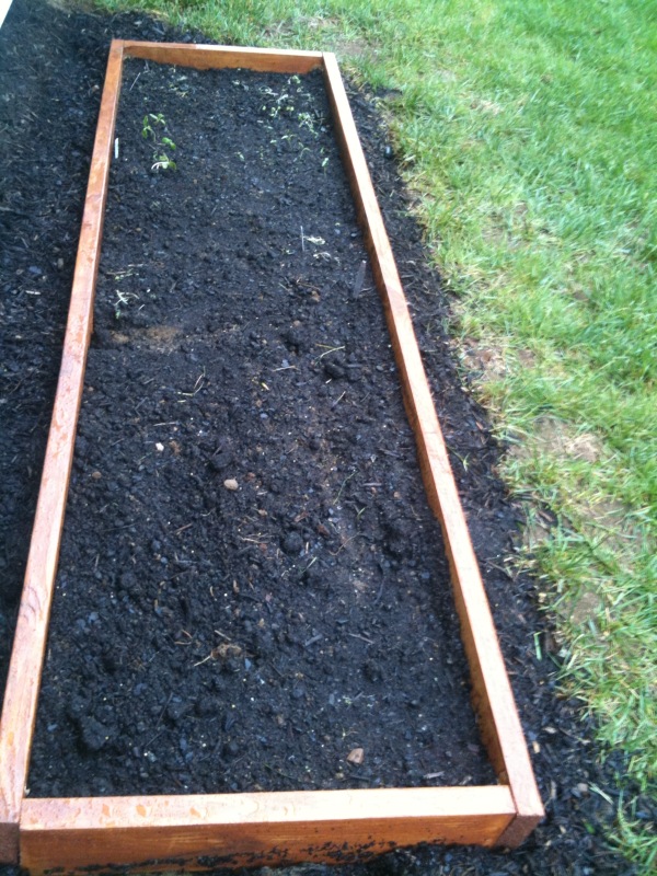 7a - when to transplant? Photo12