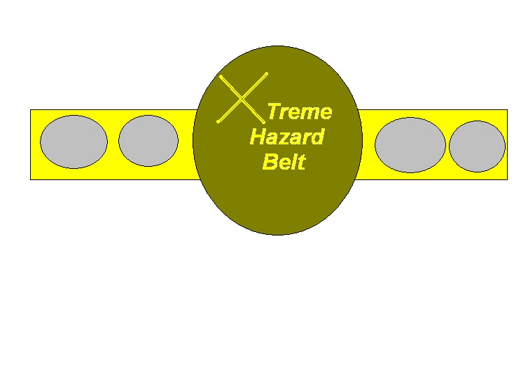 X-Treme Hazard Picture Belt_x10