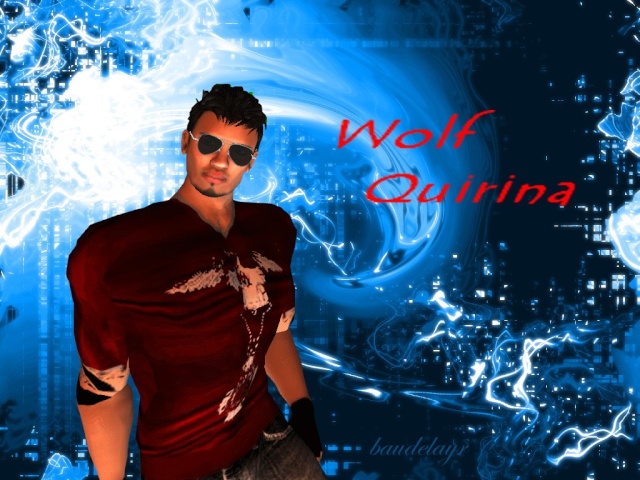mon fils wolf Quirina Patate11