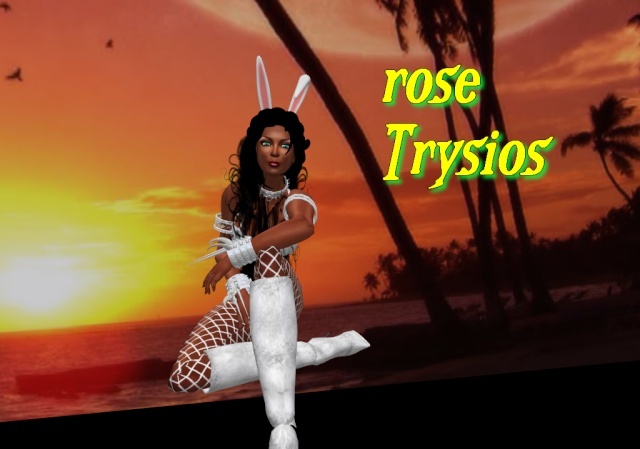 Ma fille rose Trysios Rose_010