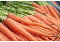pour conserver les carote Conser10