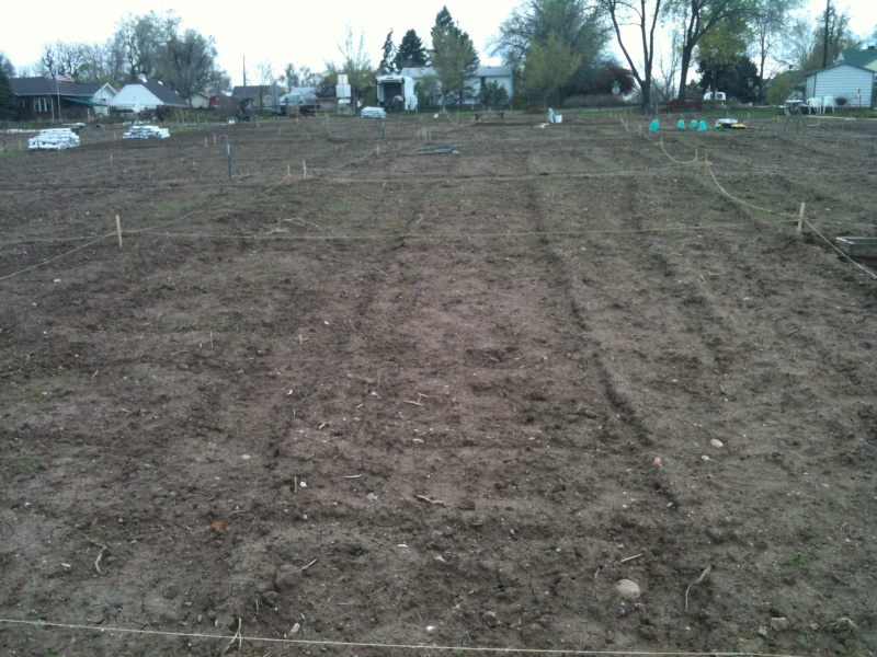 Our first Square Foot Garden Iphone12