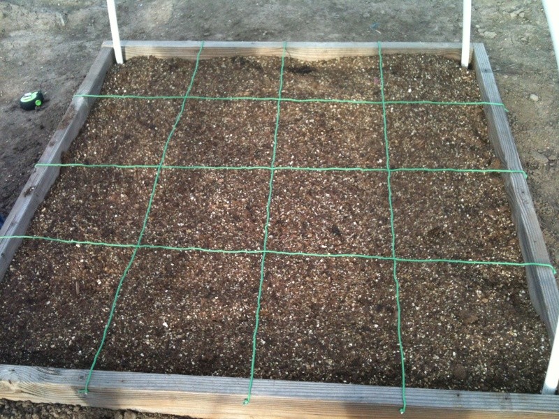 Our first Square Foot Garden Iphone21