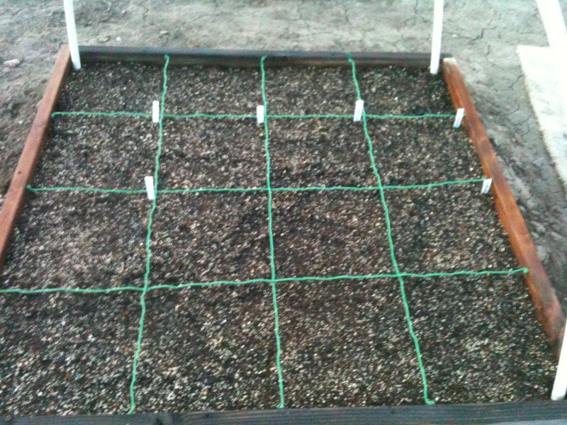 Our first Square Foot Garden Iphone25