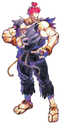ITT: I briefly comment on every canonical Street Fighter character. Akuma210