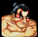 ITT: I briefly comment on every canonical Street Fighter character. Ehonda10