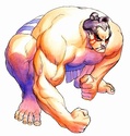 ITT: I briefly comment on every canonical Street Fighter character. Ehonda11