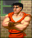 ITT: I briefly comment on every canonical Street Fighter character. Ff1_se10