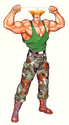 ITT: I briefly comment on every canonical Street Fighter character. Guile110