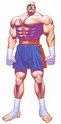 ITT: I briefly comment on every canonical Street Fighter character. Sagat310