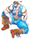 ITT: I briefly comment on every canonical Street Fighter character. Thawk110