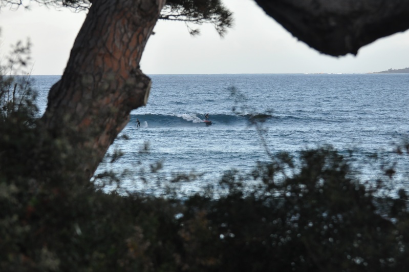 avis de grosse houle en méditerranée !! Dsc_0410