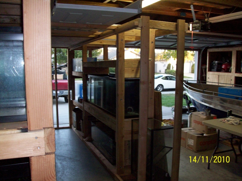 UPDATE beginning of my fish room (complete) Garage10