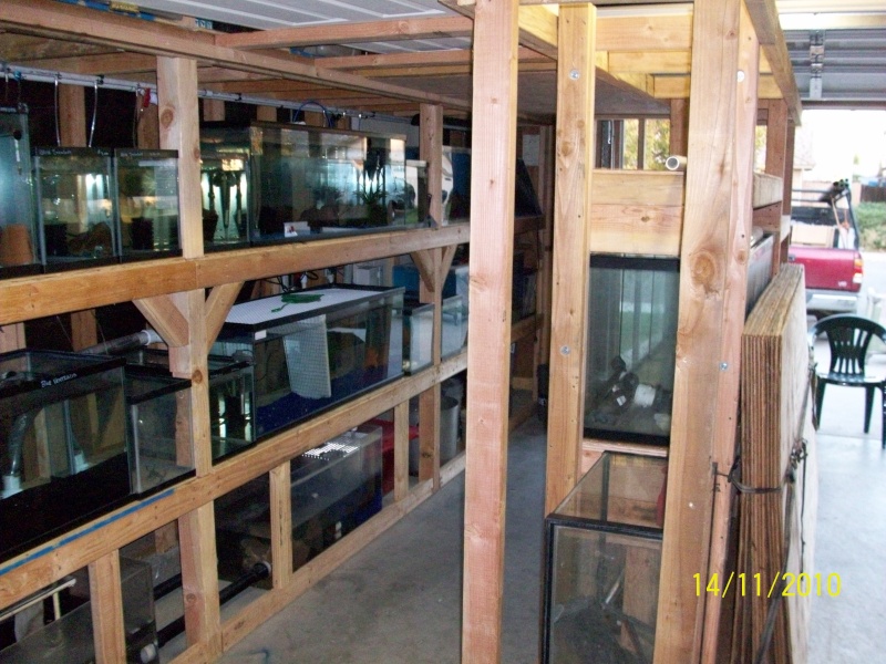 UPDATE beginning of my fish room (complete) Garage11
