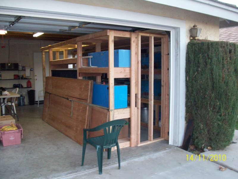 Update Beginning Of My Fish Room Complete Page 3