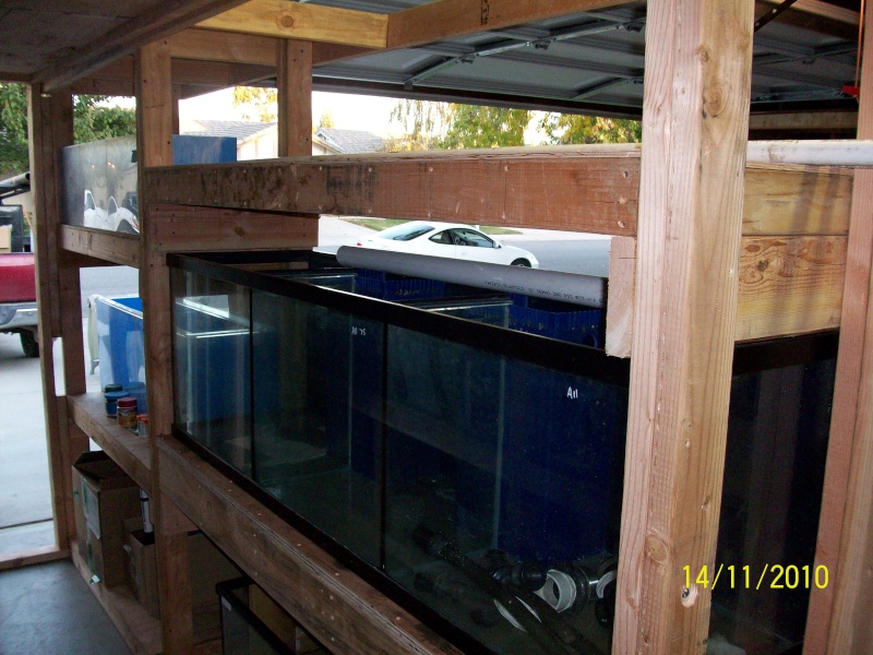 UPDATE beginning of my fish room (complete) Garage16
