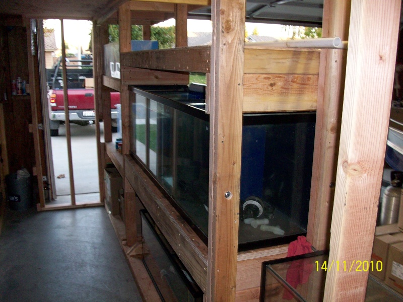 UPDATE beginning of my fish room (complete) Garage17