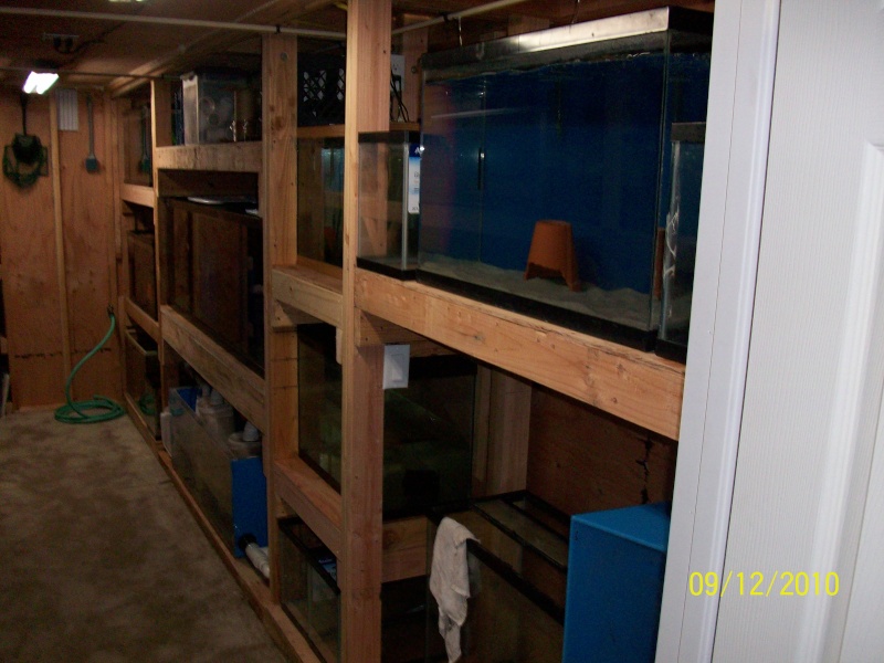 UPDATE beginning of my fish room (complete) Random12