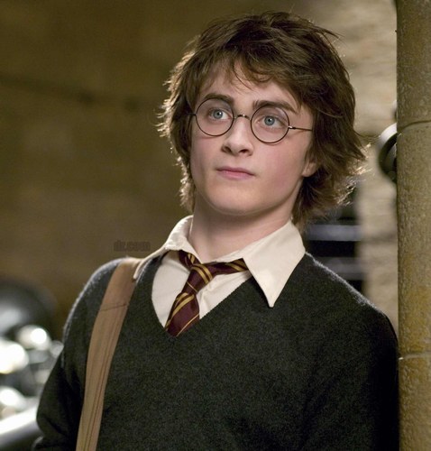 Harry Potter,l'élu[fini] Harry-10