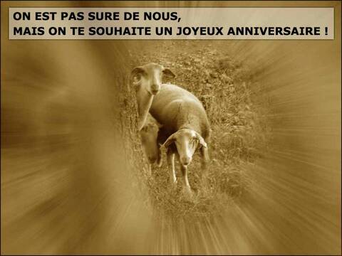 15 06 Anniversaires Freddy16 Jid Keop Krestenne Marie Ange Mobylette Nicolas Dezecache 15 06 Anniversaires Freddy16 Jid Keop Krestenne Marie Ange Mobylette Nicolas Dezecache