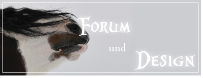 Impressum Forum-13