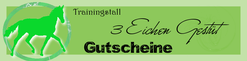 Trainingsstall 3 Eichen Gestüt Traini15