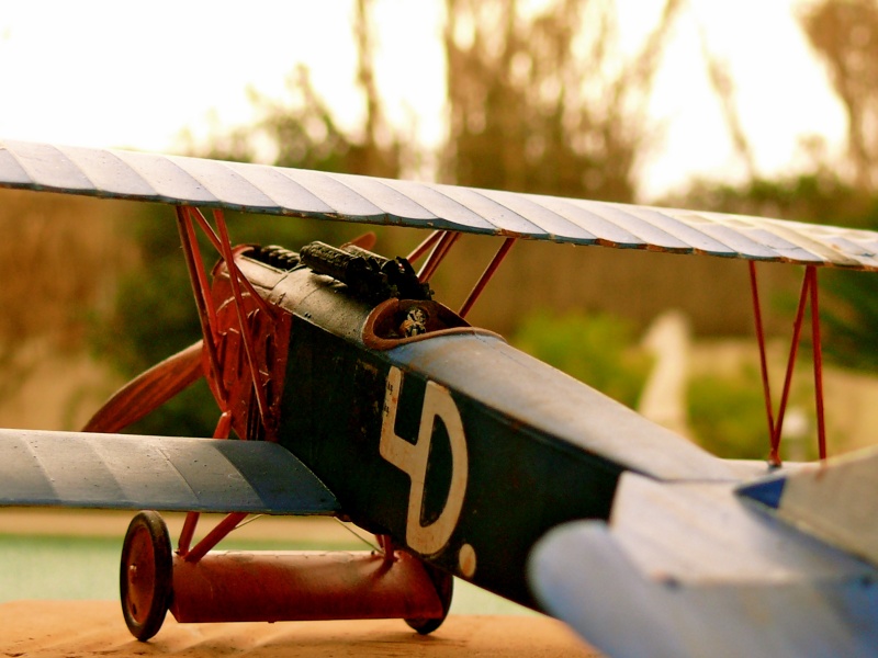 Fokker DVII (revell) L1060210