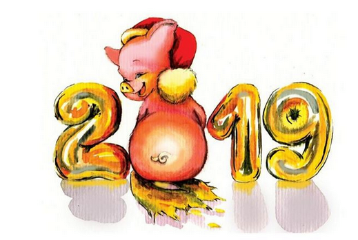 2019 l'année du cochon - Tara 49818010
