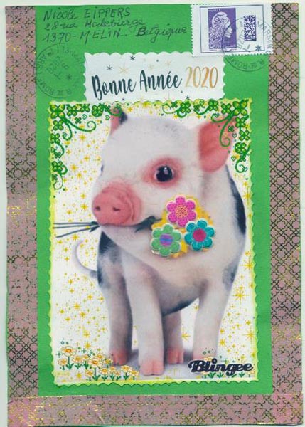 Galerie des cochons 2020 - Jamari - Nanou 7-202010