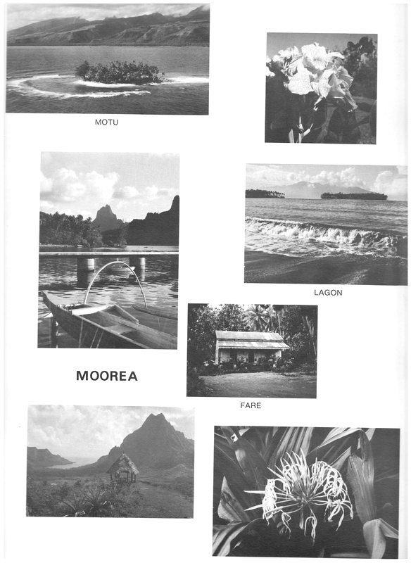 DE GRASSE (CROISEUR) - Page 21 Dg197115