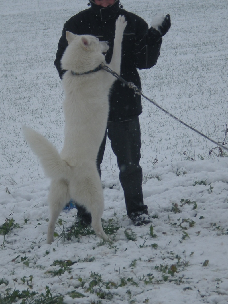Deïko et Eÿden dans la neige  Photo_23