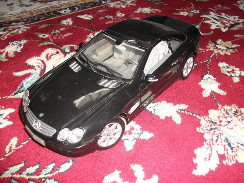 [ Miniatures] Nos Mercedes-Benz ... 100_2110