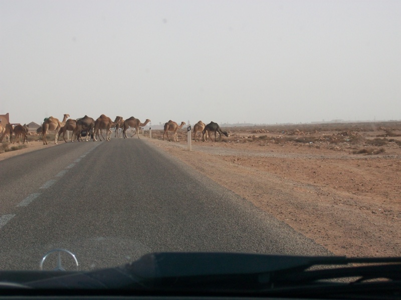 En route vers le sahara, avec ma Mercedes!  - Page 3 Img90810