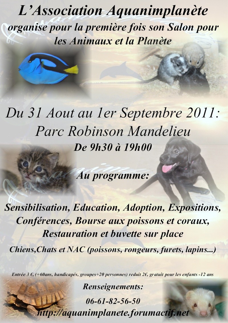 ohey ohey!!! bon gens : the affiche  Affich16