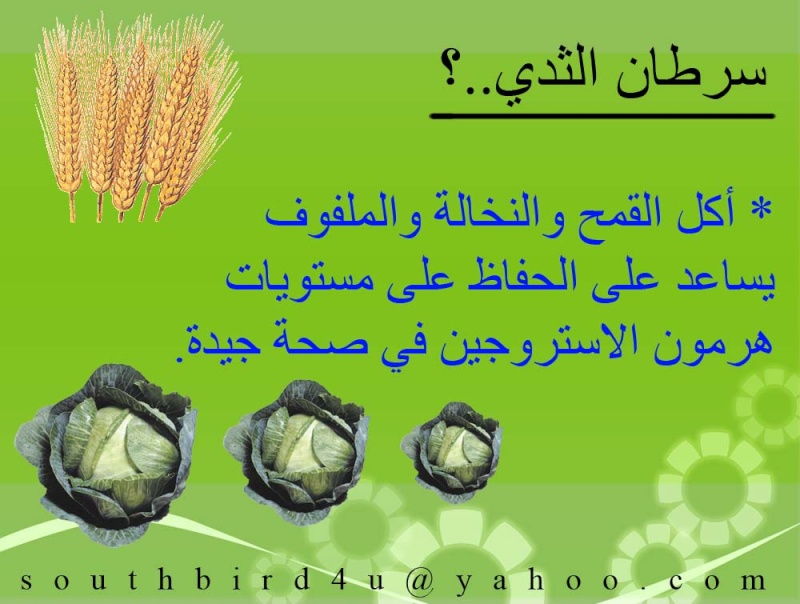 فوائد الطعام Image021